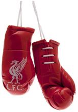 Bild Liverpool Mini Boxningshandskar