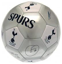Bild Tottenham Hotspur Fotboll Signature SV