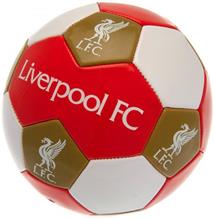 Bild Liverpool Fotboll 3