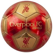Bild Liverpool Teknikboll Signature