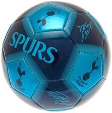 Bild Tottenham Hotspur Fotboll Signature 2