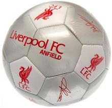 Bild Liverpool Fotboll Signature SV