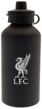 Bild Liverpool Aluminiumflaska PH