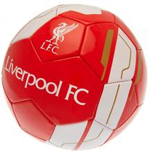 Bild Liverpool Fotboll VR