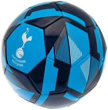 Bild Tottenham Hotspur Fotboll RX