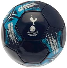 Bild Tottenham Hotspur Fotboll SP
