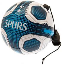Bild Tottenham Hotspur Träningsboll Storlek 2