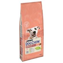 Bild Ekonomipack: 2 x 14 kg Purina Dog Chow torrfoder - Adult Sensitive Salmon (2 x 14 kg)