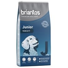 Bild Briantos Junior Young & Fit - Ekonomipack: 2 x 14 kg