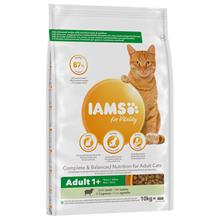 Bild Ekonomipack: IAMS torrfoder för katter 2 x 10 kg - Vitality Adult Lamb (2 x 10 kg)