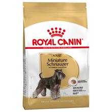 Bild Ekonomipack: 2 eller 3 påsar Royal Canin Breed Adult - Miniature Schnauzer Adult (2 x 3 kg)