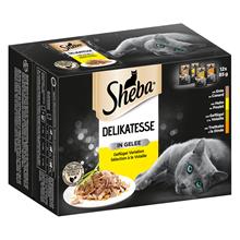 Bild Ekonomipack: 48 x 85 g Sheba portionspåsar - Delicatesse in Jelly Fjäderfä
