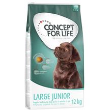Bild Concept for Life Large Junior - Ekonomipack: 2 x 12 kg