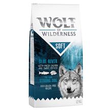 Bild Wolf of Wilderness Soft - Blue River - Salmon - Ekonomipack: 2 x 12 kg