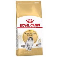 Bild Ekonomipack: 2 x Royal Canin kattfoder till lågpris - Norwegian Forest Cat (2 x 10 kg)