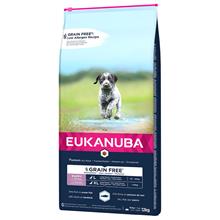 Bild Eukanuba Grain Free Puppy Large Breed Salmon - Ekonomipack: 2 x 12 kg