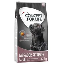 Bild Concept for Life Labrador Retriever Adult - 12 kg