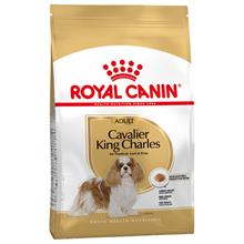 Bild Ekonomipack: 2 eller 3 påsar Royal Canin Breed Adult - Cavalier King Charles Adult (2 x 7,5 kg)