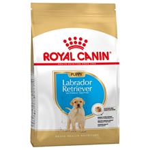 Bild Ekonomipack: 2 / 3 påsar Royal Canin Breed Puppy / Junior Labrador Retriever Puppy  (2 x 12 kg)