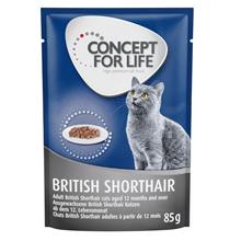 Bild Concept for Life British Shorthair Adult - förbättrad formel! - Som tillskott: 12 x 85 g Concept for Life British Shorthair
