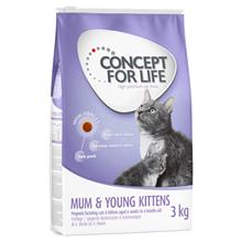 Bild Concept for Life Mum & Young Kittens - 10 kg