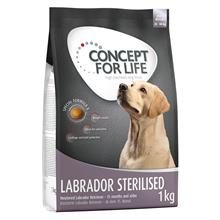 Bild Concept for Life Labrador Sterilised  - 4 x 1 kg