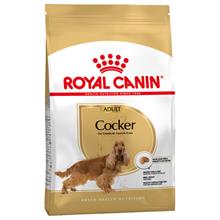Bild Royal Canin Cocker Adult - 12 kg