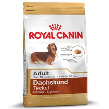 Bild Royal Canin Dachshund Adult - 1,5 kg