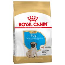 Bild Royal Canin Pug Puppy 1,5 kg