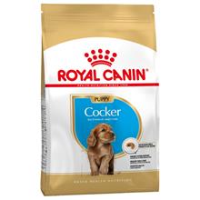 Bild Royal Canin Cocker Puppy 3 kg