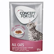 Bild 36 + 12 på köpet! Concept for Life våtfoder 48 x 85 g - All Cats i sås
