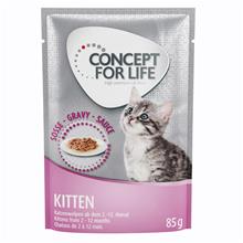 Bild Concept for Life Maine Coon Kitten - förbättrad formel! - Som tillskott: 12 x 85 g Concept for Life Kitten i sås
