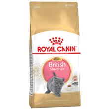 Bild Ekonomipack: 2 x Royal Canin kattfoder till lågpris - Kitten British Shorthair (2 x 10 kg)