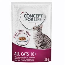 Bild Concept for Life All Cats 10+ - förbättrad formel! - Som tillskott: 12 x 85 g Concept for Life All Cats 10+ i gelé
