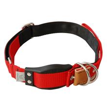 Bild WowWow Professional, rött hundhalsband - Stl. M: 37 - 46 cm halsomfång, B 35 mm