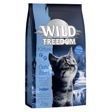 Bild Wild Freedom Kitten 