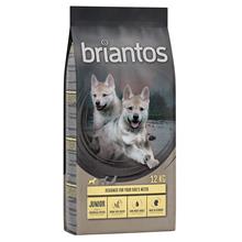 Bild 11 + 1 kg på köpet! 12 kg Briantos Grain Free torrfoder - Grain FreeJunior Kyckling & potatis
