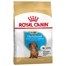 Bild Ekonomipack: 2 / 3 påsar Royal Canin Breed Puppy / Junior Dachshund Puppy (3 x 1,5 kg)