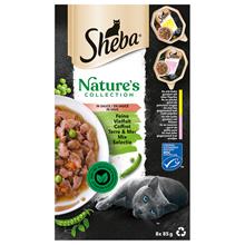 Bild Ekonomipack: Sheba Nature's Collection in Sauce 64 x 85 g - Fin mångfald