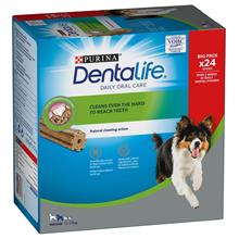 Bild Purina Dentalife Daily Oral Care för medelstora hundar (12-25 kg) - 24 sticks (8 x 69 g)