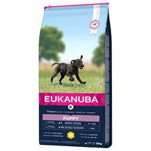 Bild Eukanuba Puppy Large Breed Chicken - 15 kg