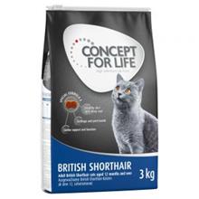 Bild Concept for Life British Shorthair Adult - förbättrad formel! - Ekonomipack: 3 x 3 kg