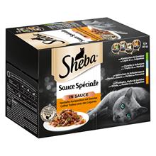 Bild Ekonomipack: Sheba 144 x 85 g portionsform - Sauce Speciale