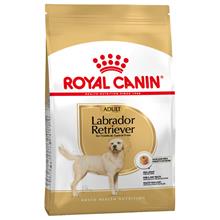 Bild Ekonomipack: 2 eller 3 påsar Royal Canin Breed Adult - Labrador Retriever Adult (2 x 12 kg)