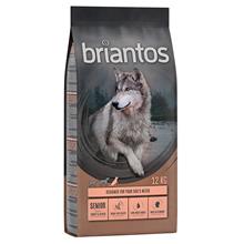 Bild 11 + 1 kg på köpet! 12 kg Briantos Grain Free torrfoder - Grain Free Senior Kalkon & potatis