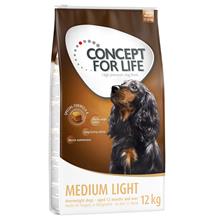 Bild Ekonomipack: 2-4 påsar Concept for Life - Medium Light (2 x 12 kg)