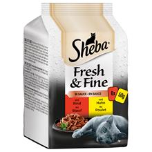 Bild Ekonomipack: Sheba Fresh & Fine 36 x 50 g Fin mångfald