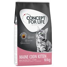 Bild Concept for Life Maine Coon Kitten - förbättrad formel! - Ekonomipack: 2 x 10 kg