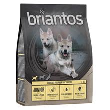 Bild Briantos Grain Free Junior Kyckling & potatis - 1 kg