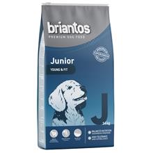Bild Ekonomipack: 2 påsar Briantos till lågpris! - Junior  (2 x 14 kg)